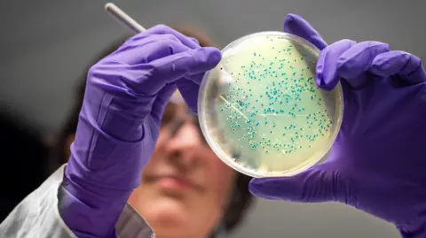 AI designs new superbug-killing antibiotics for gonorrhoea and MRSA - BBC
